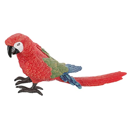 PHENOFICE Papageienmodell Spielzeug Simulierte Papageiendekoration Gartendekoration Papageienfigur Vogel Dekoratives Ornament Papageienornamente Gefälschtes Vogelornament Lebensechtes PHENOFICE Papageienmodell Spielzeug Simulierte Papageiendekoration Gartendekoration Papageienfigur Vogel Dekoratives Ornament Papageienornamente Gefälschtes Vogelornament Lebensechtes von PHENOFICE