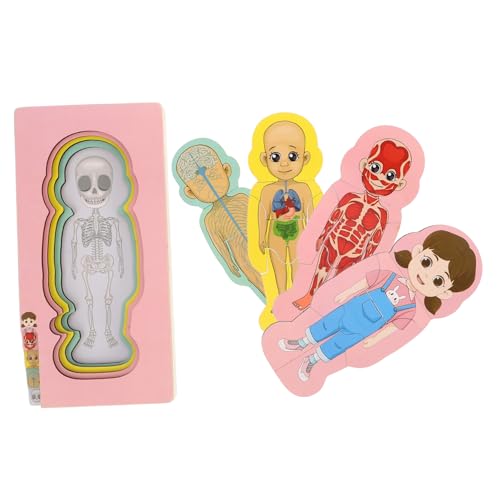 PHENOFICE Holz Kinder Anatomie Orgel Puzzles Frühes Lernen Pädagogisches Spielzeug Für Jungen Mädchen PHENOFICE Holz Kinder Anatomie Orgel Puzzles Frühes Lernen Pädagogisches Spielzeug Für Jungen Mädchen von PHENOFICE