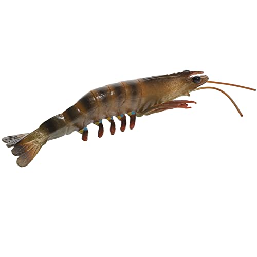 PHENOFICE Simulation Garnelenmodell Kunststoff Kinderspielzeug Kinderzubehör Dekoratives Lernspielzeug Pädagogisches Garnelenspielzeug Aquariumspielzeug Kinderzubehör Realistisches von PHENOFICE