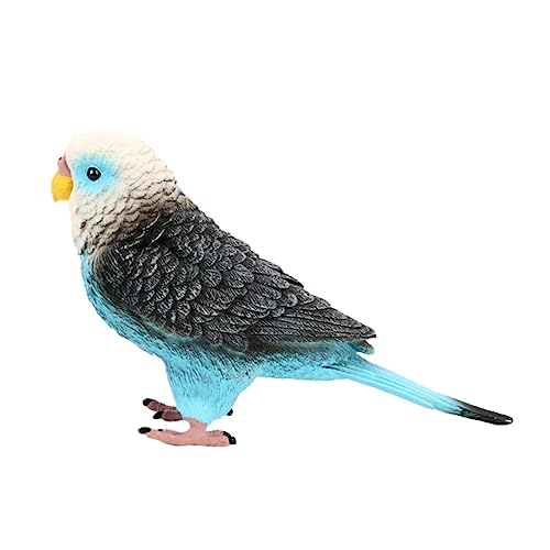 PHENOFICE Realistisches Budgerigar Modell Dekorativer Sittich Für Statisches Ornament Für Schreibtisch Lebensnahe Nachbildung des Wellensittichs von PHENOFICE