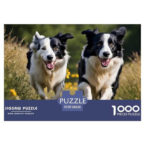 Border-Collie-Hund 1000 Teile Puzzle Für Erwachsene Und Kinder interessant Erwachsenenpuzzle Clevere Rätsel Geschenk 38x26cm/1000pcs von PHQAZWSXE