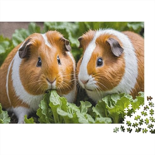 Guineeschwein 1000 Teile Puzzle Für Erwachsene Und Kinder Tiere Impossible Puzzle Clevere Rätsel Weihnachtspuzzle 1000pcs (75x50cm) von PHQAZWSXE
