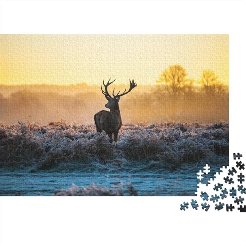 Pferd Puzzle 1000 Teile Für Erwachsene Tier Erwachsenenpuzzle Geschicklichkeitsspiel Weihnachtspuzzle 1000pcs (75x50cm) von PHQAZWSXE