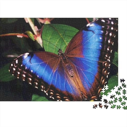Schmetterling Puzzle 1000 Teile Für Erwachsene Tier Erwachsenenpuzzle Geschicklichkeitsspiel Weihnachtspuzzle 1000pcs (75x50cm) von PHQAZWSXE