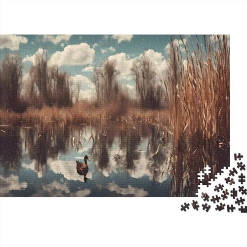 See 1000 Teile Puzzle Für Erwachsene interessant Impossible Puzzle Clevere Rätsel Geschenk 1000pcs (75x50cm) von PHQAZWSXE