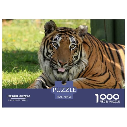 Tiger Puzzle 1000 Teile Für Erwachsene Und Kinder interessant Erwachsenenpuzzle Geschicklichkeitsspiel Geschenk 70x50cm/1000pcs von PHQAZWSXE