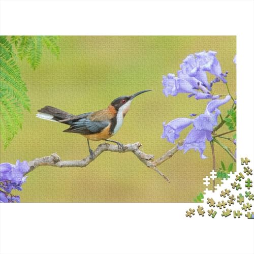 Vogel Puzzle 1000 Teile Für Erwachsene Tier Erwachsenenpuzzle Geschicklichkeitsspiel Weihnachtspuzzle 1000pcs (75x50cm) von PHQAZWSXE