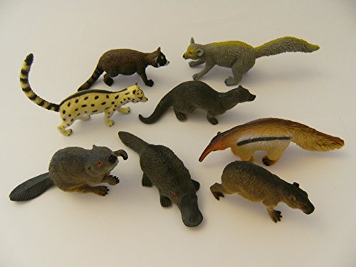 PIA International Waldtiere Wildtiere Zootiere 8er Spieltiere Spielzeug Tiere Tier Figur Figuren, Set 1 PIA International Waldtiere Wildtiere Zootiere 8er Spieltiere Spielzeug Tiere Tier Figur Figuren, Set 1 von PIA INTERNATIONAL