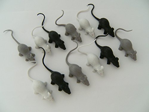 PIA International Ratten 12erSet ca. 10 cm, Ratte Maus Mäuse, Spieltiere PIA International Ratten 12erSet ca. 10 cm, Ratte Maus Mäuse, Spieltiere von PIA International