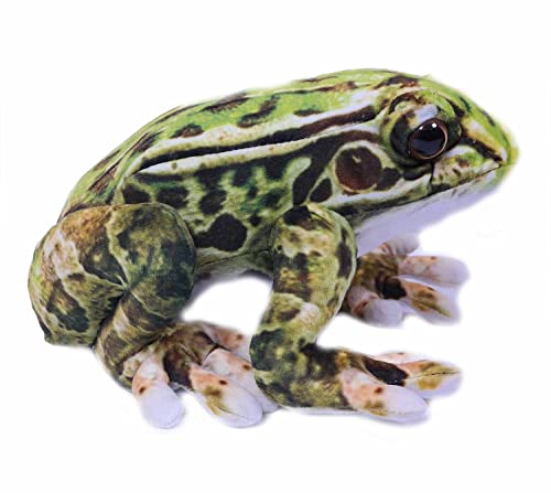 PIA Plüschtier Frosch 24 cm, grün, Frösche Stofftiere Plüschtier Kuscheltier Pfeilgiftfrosch von PIA