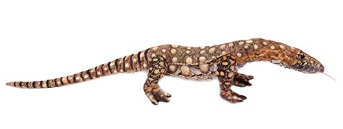 Pia Stofftier Komodowaran 87 cm, Stofftiere Plüschtier Kuscheltiere Echsen Leguan Warane, Braun, 1090377 Pia Stofftier Komodowaran 87 cm, Stofftiere Plüschtier Kuscheltiere Echsen Leguan Warane, Braun, 1090377 von PIA