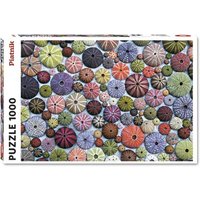 PIATNIK 5488 Puzzle 1000 Teile Bunte Seeigelhäuser PIATNIK 5488 Puzzle 1000 Teile Bunte Seeigelhäuser von PIATNIK