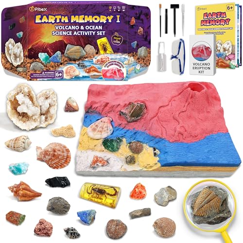 PIBEX Fossilien & Edelsteine Ausgrabungsset mit Vulkanexperiment, 20+ echte Funde (Geode, Muscheln, Meeresschnecken), STEM Geologie & Meeresbiologie, für Kinder 6–12 von PIBEX