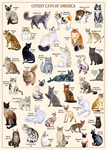 Katzen-Puzzles für Erwachsene 1000 Teile und höher, Vintage-Kätzchen-Puzzles für Erwachsene, Tier-Katzen-Puzzle, Kätzchen als Geschenk für Katzenliebhaber Katzen-Puzzles für Erwachsene 1000 Teile und höher, Vintage-Kätzchen-Puzzles für Erwachsene, Tier-Katzen-Puzzle, Kätzchen als Geschenk für Katzenliebhaber von PICKFORU
