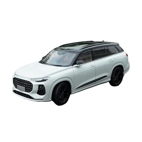 Druckgussfahrzeuge Motorfahrzeuge 1/18 for Audi Q6 2022 Statische Simulation Zinklegierung Modellauto Druckguss Metallgussornamente Fertiges Modellauto(White) von PIPJLCGE