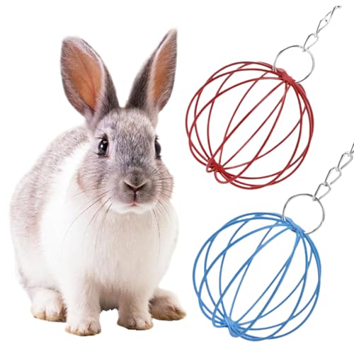 PIUpiuLIANG 2pcs Kaninchen -Heu -Feeder für Haustierkäfige, hängende Heuheuderkaninchen für Leckereien und Kauen, Robustes Metall Meerschwein von PIUpiuLIANG