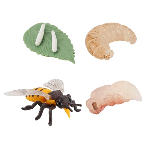 PIUpiuLIANG Lebenszyklusspielzeug für Kinder, Bildungs- und Simulation Bienenspielzeug, Plastikbienenfigur für Jungen, Mädchen PIUpiuLIANG Lebenszyklusspielzeug für Kinder, Bildungs- und Simulation Bienenspielzeug, Plastikbienenfigur für Jungen, Mädchen von PIUpiuLIANG