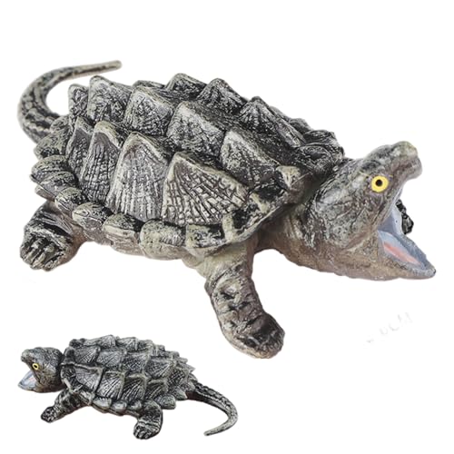 PIUpiuLIANG Schnappschildkröte 2.5x1.4x0.8 Realistische Schildkröten -Figuren Wildlife Model Tortoise -Spielzeug für Kid Boys Girls Tischdekoration Schnappnahme PIUpiuLIANG Schnappschildkröte 2.5x1.4x0.8 Realistische Schildkröten -Figuren Wildlife Model Tortoise -Spielzeug für Kid Boys Girls Tischdekoration Schnappnahme von PIUpiuLIANG