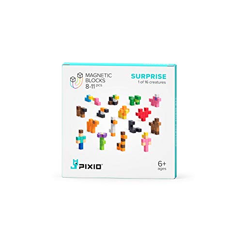 PIXIO Surprise Series 11 Blöcke max. Magnetblöcke Set mit kostenloser App, Mystery Box mit 8-Bit Pixel Art Bausteinen, Stressabbau Schreibtisch Spielzeug, Geschenk für Geek von PIXIO