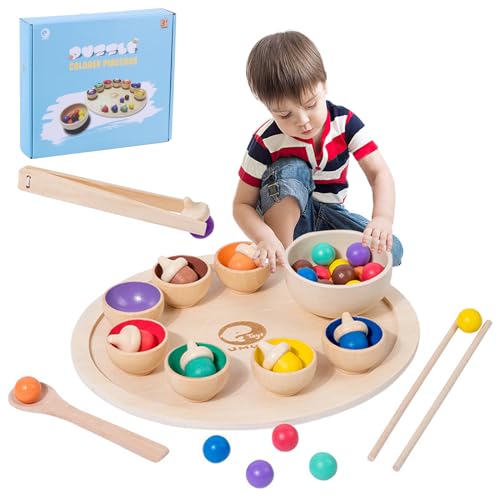 PKKP Montessori Spielzeug ab 1 Jahr, Baby Motorikspielzeug Holz Sortier, Regenbogen Holzkugeln in Tassen, Baby Spielzeug für Vorschule für Farbsortierung und Zählen, Geschenk ab 2 3 4 5 Jahr von PKKP