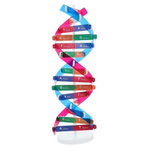 PLAFOPE Doppelhelix DNA Modellbausatz Lernspielzeug mit Detaillierter Genstruktur Einfaches Montageset für Biologieunterricht Wissenschaftliches Experimentierset für Schule und Labor von PLAFOPE