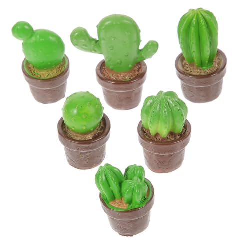 PLAFOPE Mikro Partydekorationen Miniatur Figuren aus Sukkulenten Figuren für Märchengarten Pflanzer den Schreibtisch Heimdekoration Auto Innenraum Kuchendekoration Geburtstagsgeschenke PLAFOPE Mikro Partydekorationen Miniatur Figuren aus Sukkulenten Figuren für Märchengarten Pflanzer den Schreibtisch Heimdekoration Auto Innenraum Kuchendekoration Geburtstagsgeschenke von PLAFOPE