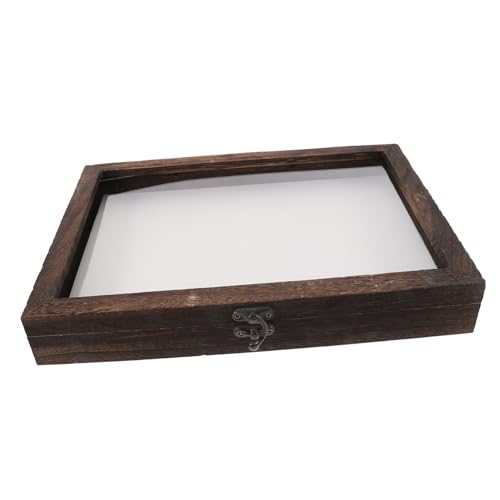 PLAFOPE Specimen Display Box aus Naturbelassenem Holz mit Transparentem Deckel Großer Kapazität Leicht und Tragbar Vielseitig für Insekten Pflanzenproben Schmuck und Kleine Sammlerstücke von PLAFOPE