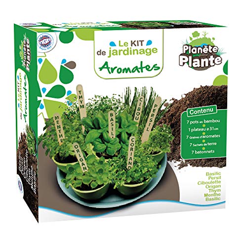 PLANETE PLANTE - 7 Biodegradable Töpfe und aromatische Samen zum Pflanzen auf einem Tablett - Garten-Set - 170032 - Bambus - Garten - Natur - Pflanze - Blumen - Spielzeug für Kinder - Ab 4 Jahren PLANETE PLANTE - 7 Biodegradable Töpfe und aromatische Samen zum Pflanzen auf einem Tablett - Garten-Set - 170032 - Bambus - Garten - Natur - Pflanze - Blumen - Spielzeug für Kinder - Ab 4 Jahren von PLANETE PLANTE