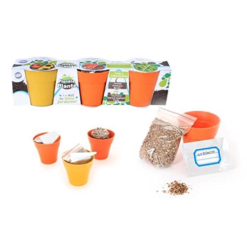 PLANETE PLANTE - 3 biologisch abbaubare Töpfe und Pflanzensamen - Gartenset - 170051 - Bambus - Garten - Natur - Pflanze - Blumen - Kinderspiel - Ab 3 Jahren PLANETE PLANTE - 3 biologisch abbaubare Töpfe und Pflanzensamen - Gartenset - 170051 - Bambus - Garten - Natur - Pflanze - Blumen - Kinderspiel - Ab 3 Jahren von PLANETE PLANTE