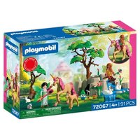PLAYMOBIL 72067 Ausflug der Feen von PLAYMOBIL® FAIRIES
