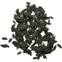 PLUS MODEL 283 1:35 grüne Kirsch-Blätter PLUS MODEL 283 1:35 grüne Kirsch-Blätter von PLUS MODEL