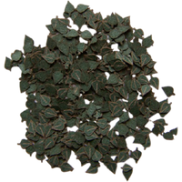 PLUS MODEL 284 1:35 grüne Birken-Blätter PLUS MODEL 284 1:35 grüne Birken-Blätter von PLUS MODEL