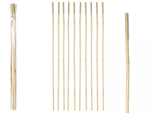 Natürliche Bambus-Gartenstäbe – 150 cm, 10 Stück – stabile Pflanzenunterstützung & Gartenstrukturen von PMS