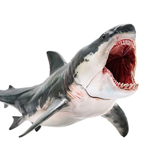 PNSO Megalodon Barton Dinosaurier Modell Spielzeug Sammelfigur Kunst Figur von PNSO