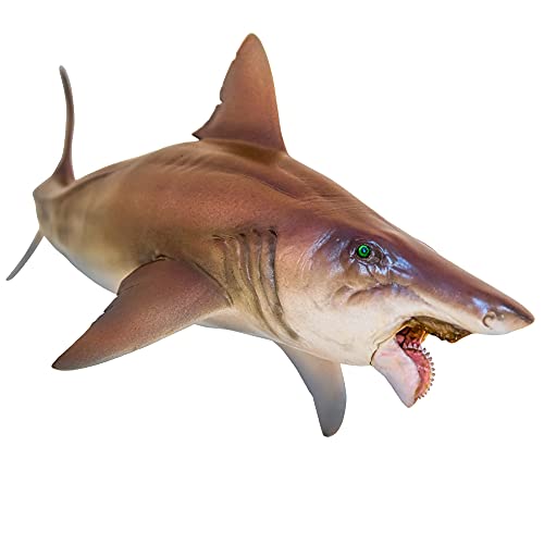 PNSO Prähistorische Dinosauriermodelle: 43 Haylee The Helicoprion von PNSO