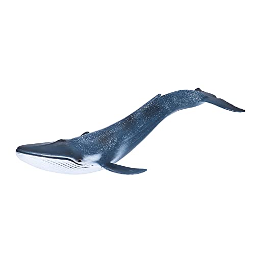 Marine Animal Toys - Langlebige Öko - Friendly PVC Drop - Proof Educational Set für Kinderlernen und Kreativität Marine Animal Toys - Langlebige Öko - Friendly PVC Drop - Proof Educational Set für Kinderlernen und Kreativität von PODSJD