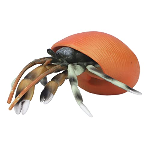 PODSJD Hermit Crab -Model Spielzeug - lebensechte Simulationsfigur mit feiner Verarbeitung, pädagogischer Meerestierdekor für Kinderspiele und Sammlung PODSJD Hermit Crab -Model Spielzeug - lebensechte Simulationsfigur mit feiner Verarbeitung, pädagogischer Meerestierdekor für Kinderspiele und Sammlung von PODSJD