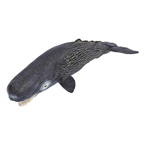 PODSJD Marine Animal Figuren - Realistisches Bildungsspielzeug mit detailliertem Design für Kinder und Sammler PODSJD Marine Animal Figuren - Realistisches Bildungsspielzeug mit detailliertem Design für Kinder und Sammler von PODSJD