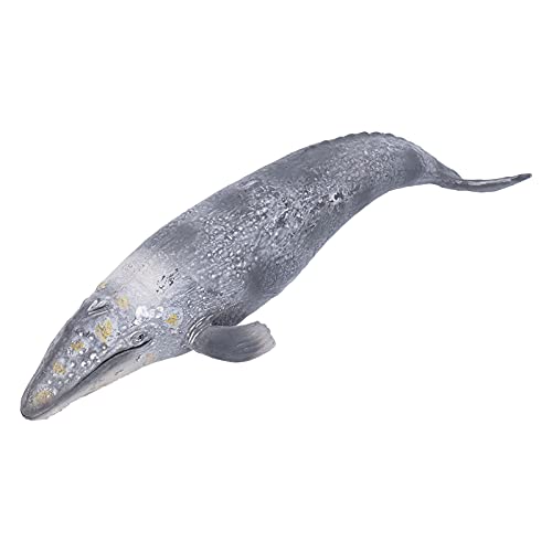 PODSJD Marine Animal Toys - Realistische plastische Figuren mit detaillierten Texturen und Bildungswert für das Lernen von Kindern und die Heimatdekoration PODSJD Marine Animal Toys - Realistische plastische Figuren mit detaillierten Texturen und Bildungswert für das Lernen von Kindern und die Heimatdekoration von PODSJD
