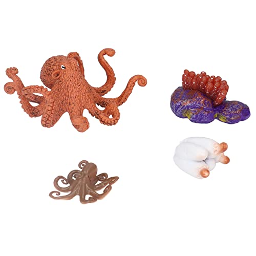 PODSJD Octopus -Wachstumszyklusmodell - Realistisches Marine Animal Life Phase -Bildungsspielzeug für Kinder über 3 Jahre, Schulprojekte und Wohnkultur PODSJD Octopus -Wachstumszyklusmodell - Realistisches Marine Animal Life Phase -Bildungsspielzeug für Kinder über 3 Jahre, Schulprojekte und Wohnkultur von PODSJD