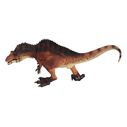 PODSJD Realistische Dinosaurierspielzeuge - detaillierte PVC -Modelle mit reichem Farben Bildungsset für Kindergeburtstagse und Schulprojekte PODSJD Realistische Dinosaurierspielzeuge - detaillierte PVC -Modelle mit reichem Farben Bildungsset für Kindergeburtstagse und Schulprojekte von PODSJD