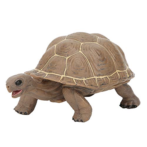 PODSJD Tiere Figur Spielzeug - Plastikkollektierbar, realistische Hand - bemalten Details, sicheres Kind - freundliches Spiel, Bildung und dekorativ für Kinderzimmer, langlebiger von PODSJD