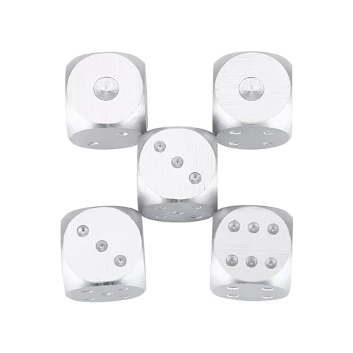 5-teiliges Würfel-Set, Aluminium-Würfel Set Deluxe Handwerkskunst Würfel mit Aufbewahrungsbox für Tischspiel Poker (SILBER #01) von POENVFPO