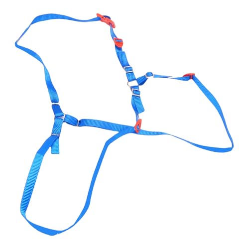 POENVFPO RC Sperberreifen -Gurtkit, Nylon -Ersatzreifen Fester y -Mount -Gurt mit Haken für 1/10 RC -Autos (Blue) von POENVFPO