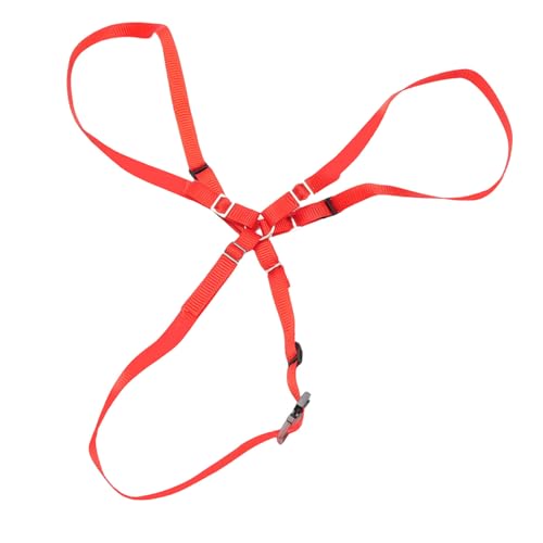 POENVFPO RC Sperberreifen -Gurtkit, Nylon -Ersatzreifen Fester y -Mount -Gurt mit Haken für 1/10 RC -Autos (Rot) von POENVFPO