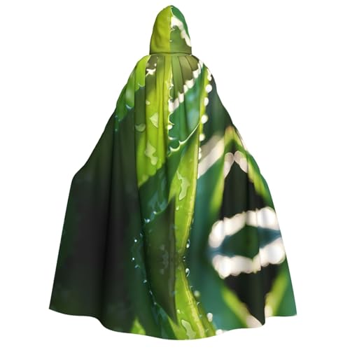 POEZJZW Aloe Vera Kapuzenumhang für Erwachsene, für Damen und Herren, Halloween-Kostüm, Maskerade, Cosplay, Kostüm, Weihnachten, Party, Robe POEZJZW Aloe Vera Kapuzenumhang für Erwachsene, für Damen und Herren, Halloween-Kostüm, Maskerade, Cosplay, Kostüm, Weihnachten, Party, Robe von POEZJZW