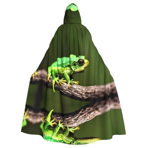 POEZJZW Kleine grüne Eidechse Kapuzenumhang Robe Kostüm Umhang für Erwachsene Männer Frauen Weihnachten Hoodies Umhang Cosplay Kostüme POEZJZW Kleine grüne Eidechse Kapuzenumhang Robe Kostüm Umhang für Erwachsene Männer Frauen Weihnachten Hoodies Umhang Cosplay Kostüme von POEZJZW