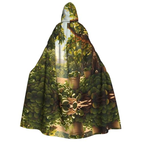 POEZJZW Macadamia Umhang mit Kapuze für Erwachsene für Damen und Herren, Halloween-Kostüm, Maskerade, Cosplay, Kostüm, Weihnachten, Party, Robe POEZJZW Macadamia Umhang mit Kapuze für Erwachsene für Damen und Herren, Halloween-Kostüm, Maskerade, Cosplay, Kostüm, Weihnachten, Party, Robe von POEZJZW