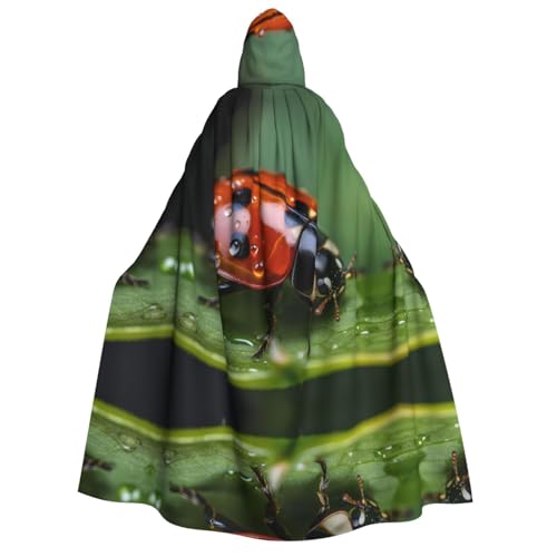 POEZJZW Marienkäfer-Umhang mit Kapuze für Damen und Herren, Halloween-Kostüm, Maskerade, Cosplay, Kostüm, Weihnachten, Party, Robe POEZJZW Marienkäfer-Umhang mit Kapuze für Damen und Herren, Halloween-Kostüm, Maskerade, Cosplay, Kostüm, Weihnachten, Party, Robe von POEZJZW