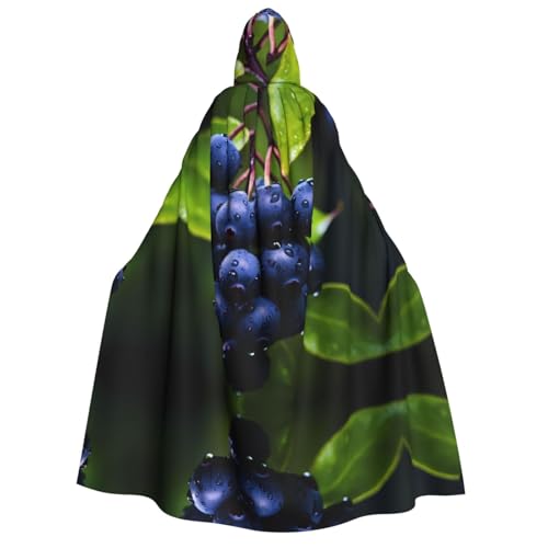 POEZJZW Plump Blueberries Kapuzenumhang für Erwachsene für Damen und Herren, Halloween-Kostüm, Maskerade, Cosplay, Kostüm, Weihnachten, Party, Robe POEZJZW Plump Blueberries Kapuzenumhang für Erwachsene für Damen und Herren, Halloween-Kostüm, Maskerade, Cosplay, Kostüm, Weihnachten, Party, Robe von POEZJZW